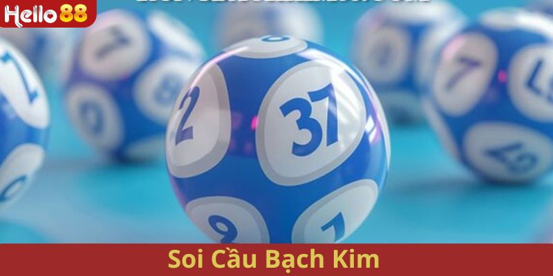 Soi Cầu Bạch Kim